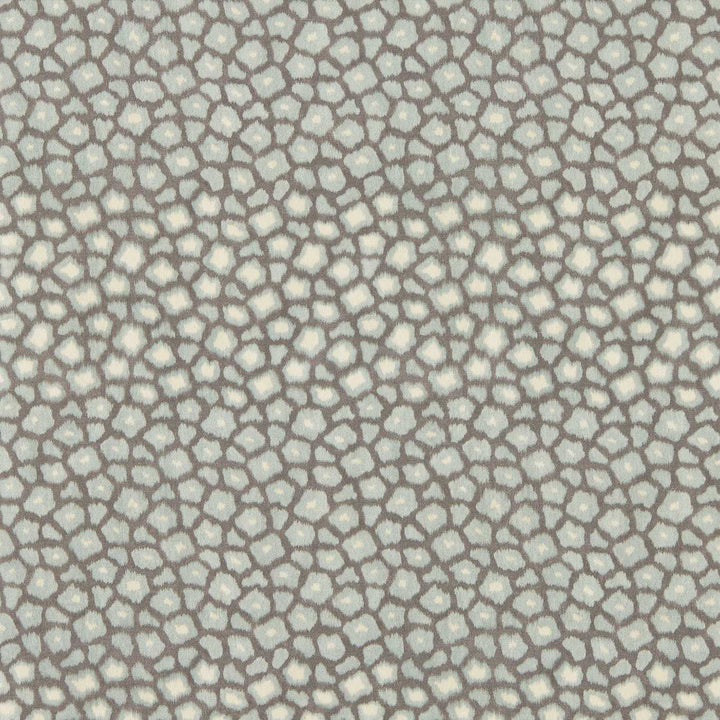 Loam - Kyanite