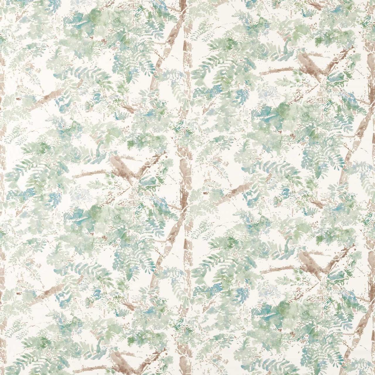 Ceiba - Pine