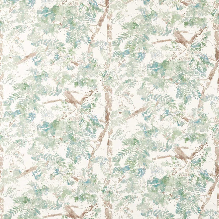 Ceiba - Pine