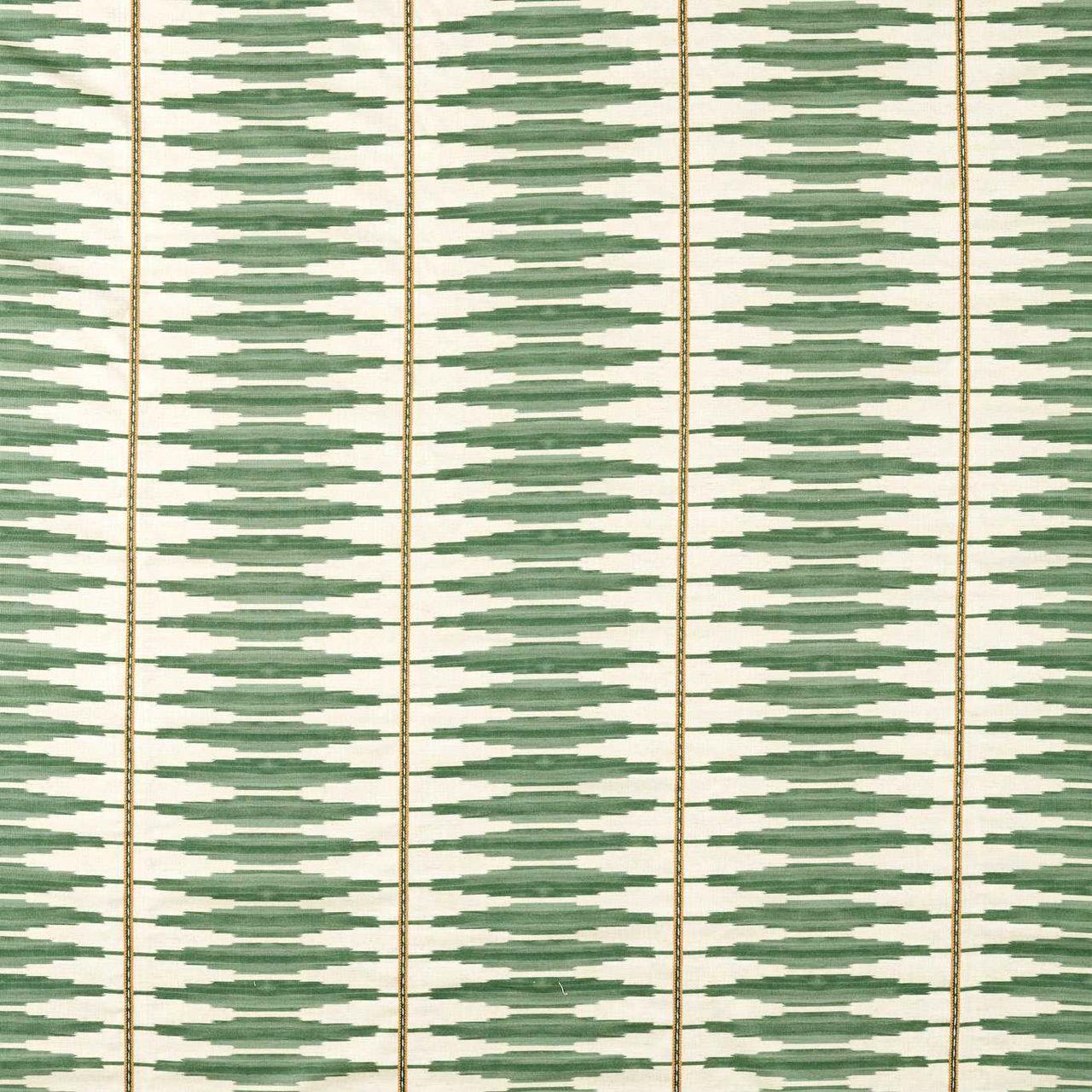 Cintilla - Evergreen / Spice