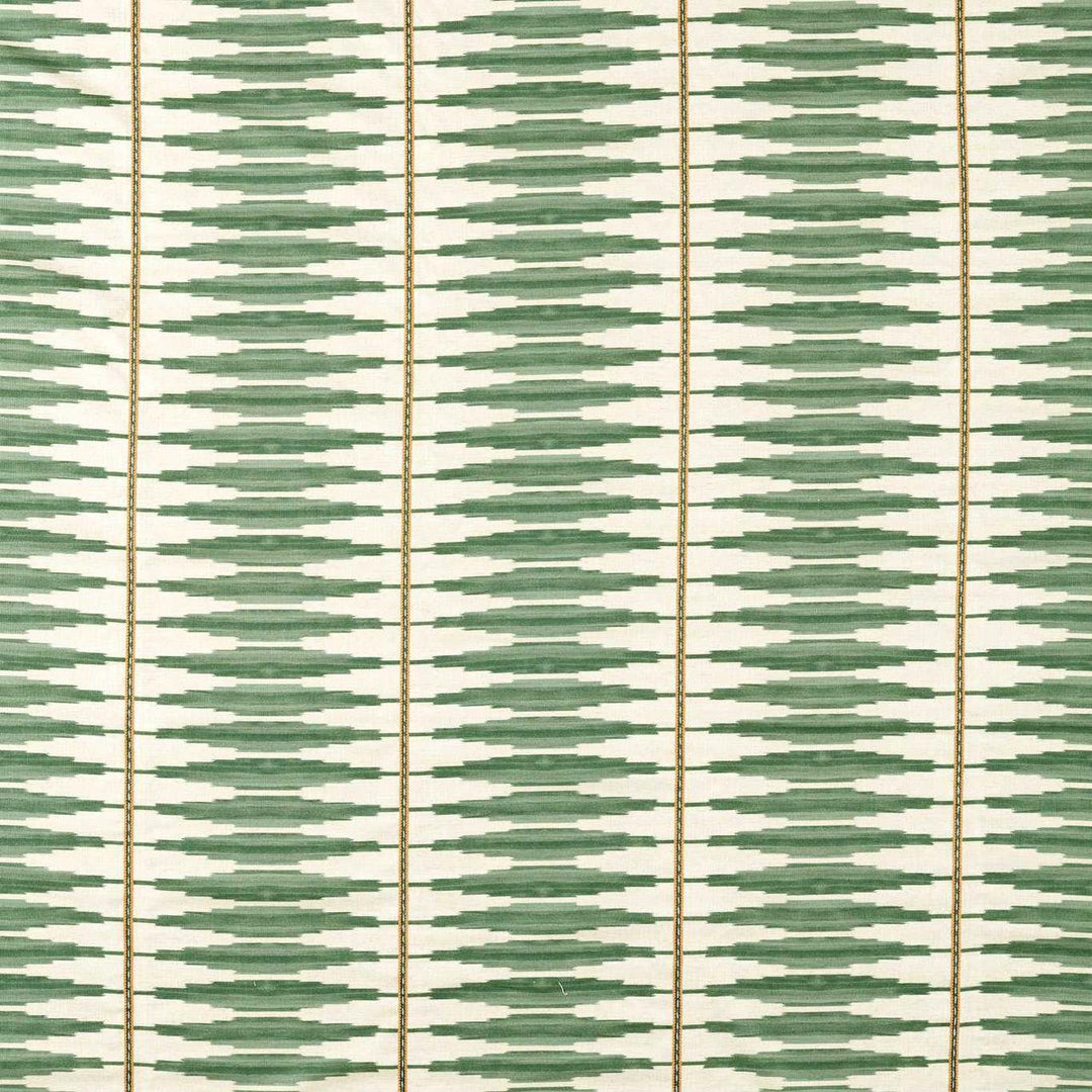 Cintilla - Evergreen / Spice