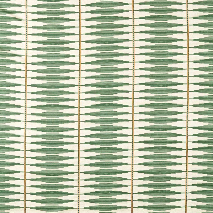 Cintilla - Evergreen / Spice