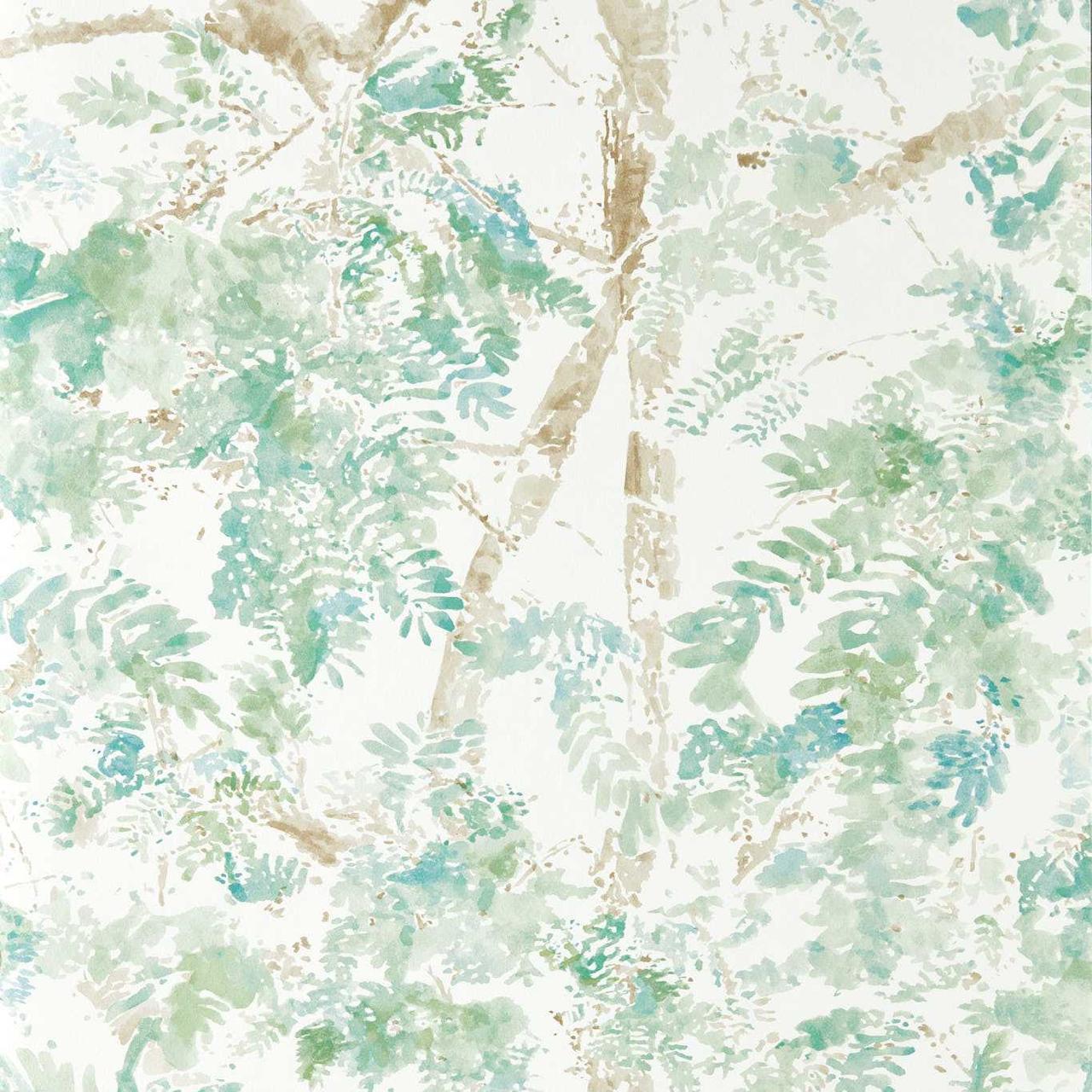 Ceiba - Pine