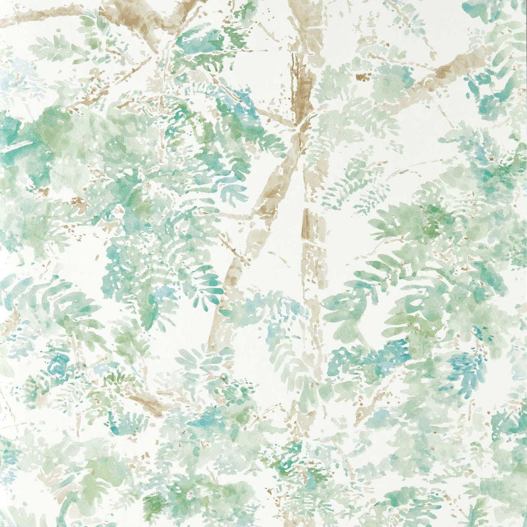 Ceiba - Pine