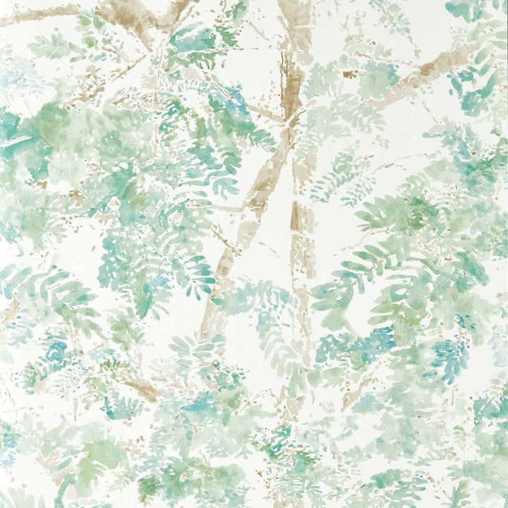Ceiba - Pine