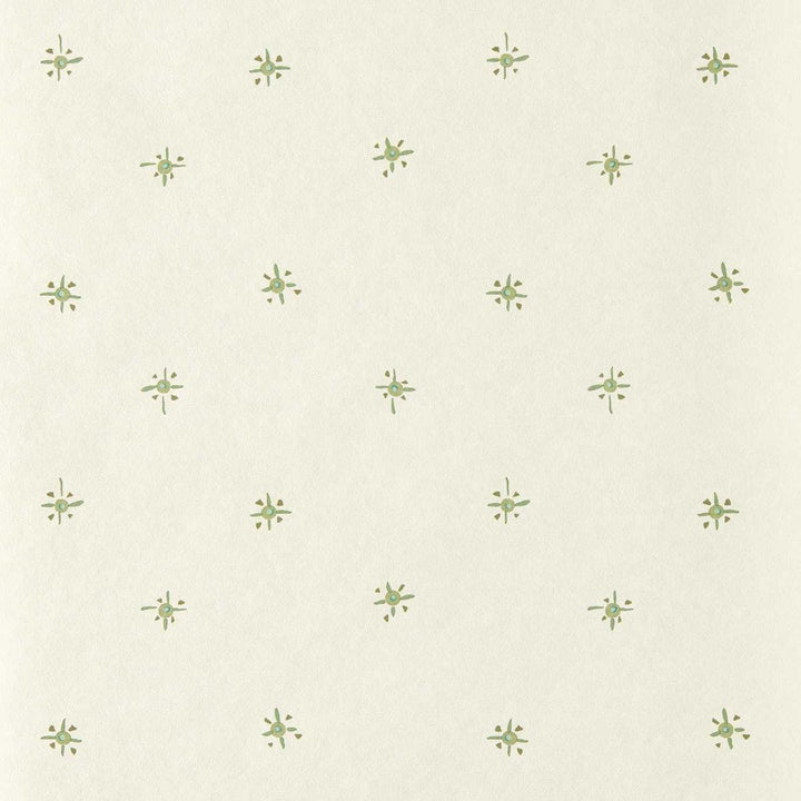 Tidam - Pine