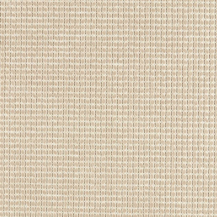 Loopy Spot - Oatmeal