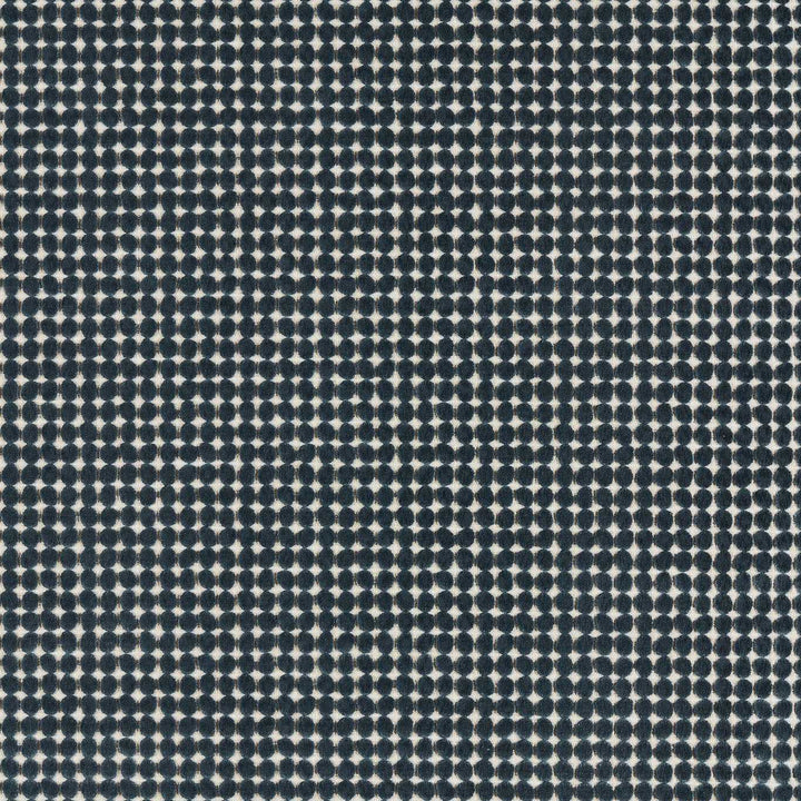 Loopy Spot - Pacific