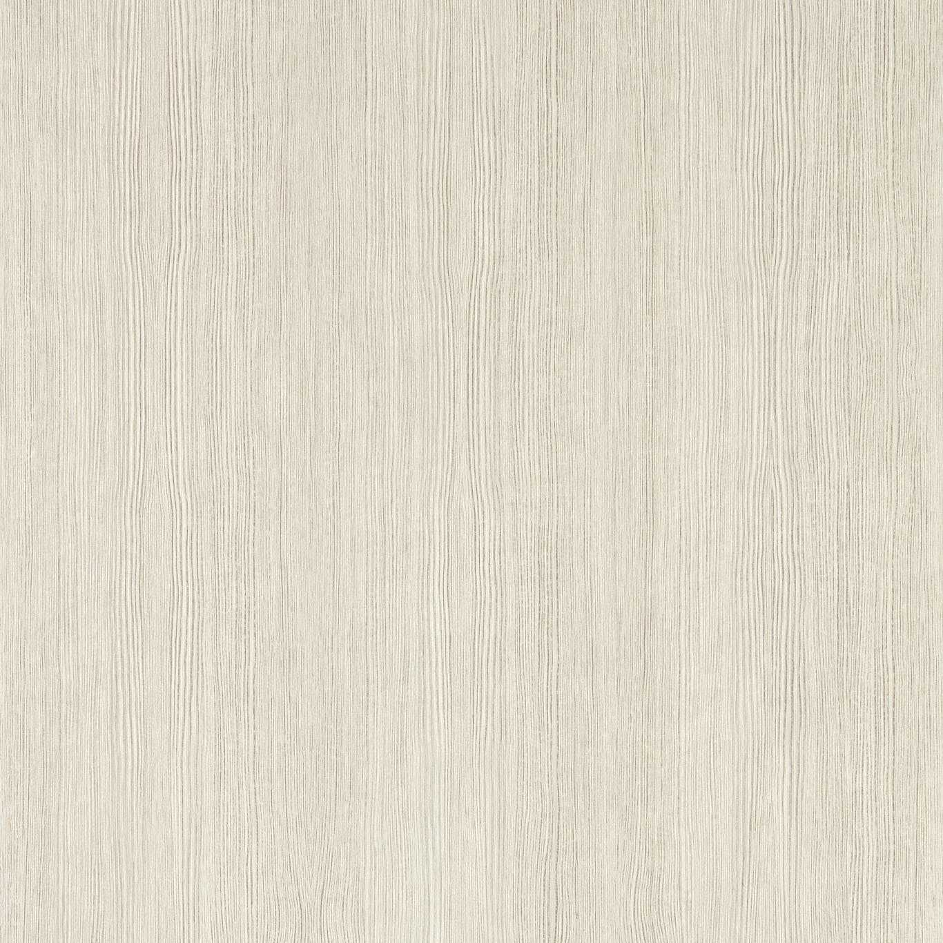 Wood Veneer - Silver Birch