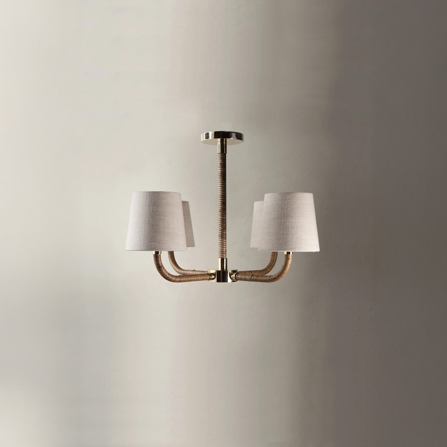 Holden Ceiling Light - Dark Cane with Brass