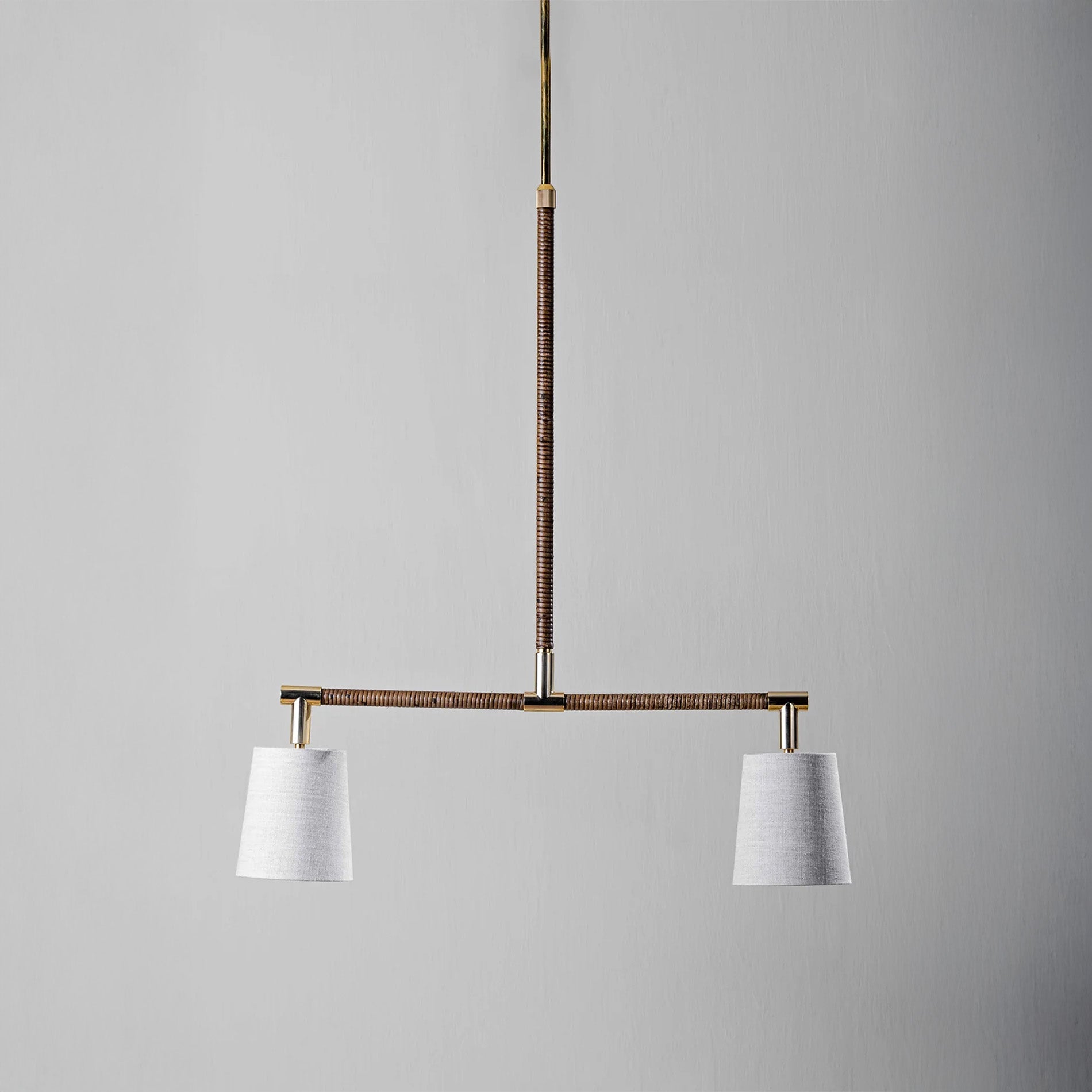 Holden Linear Pendant Downlight - Brass