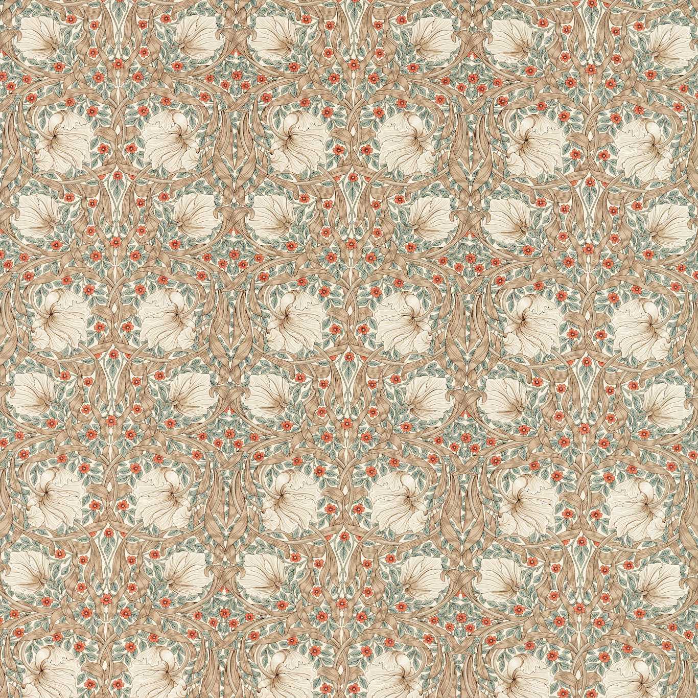 Pimpernel - Linen / Coral