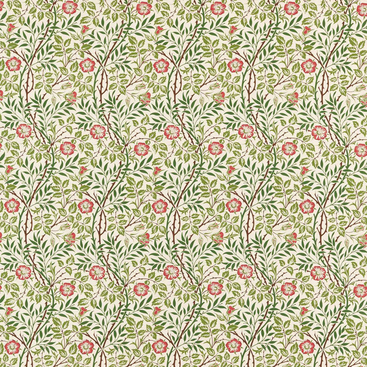 Sweet Briar - Boughs / Rose
