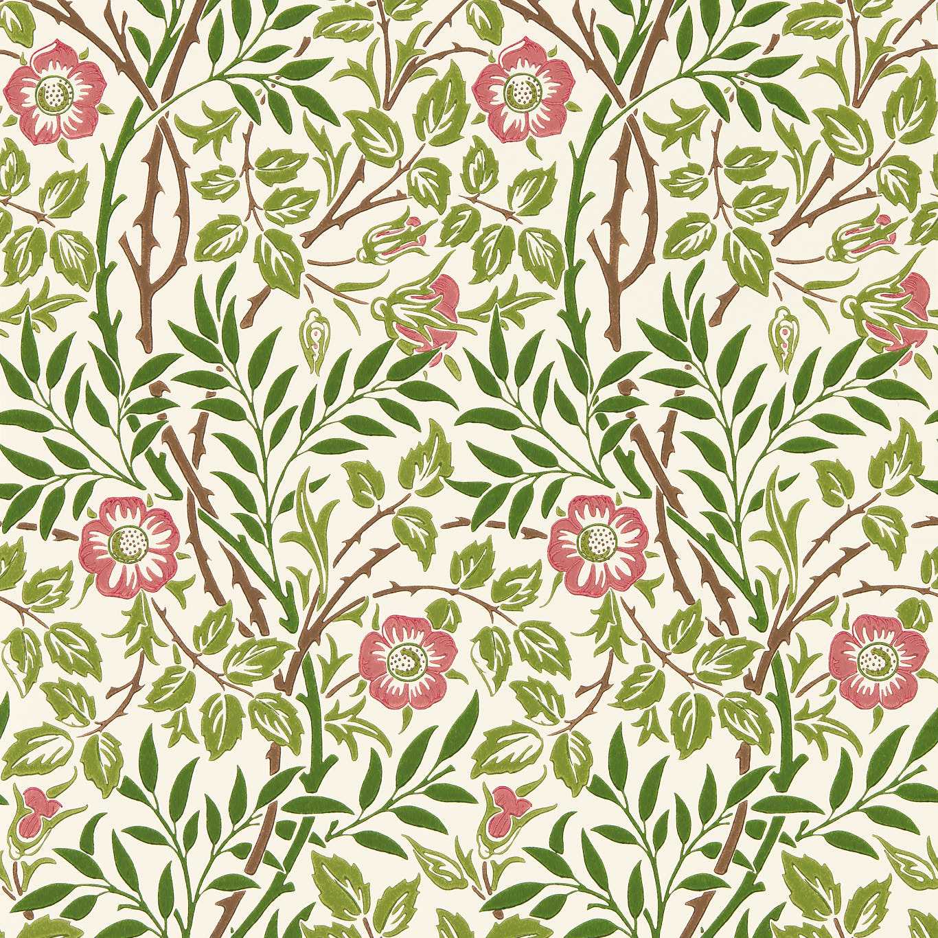 Sweet Briar - Boughs / Rose