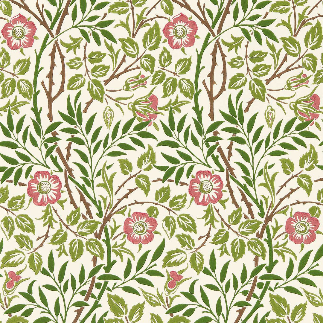 Sweet Briar - Boughs / Rose