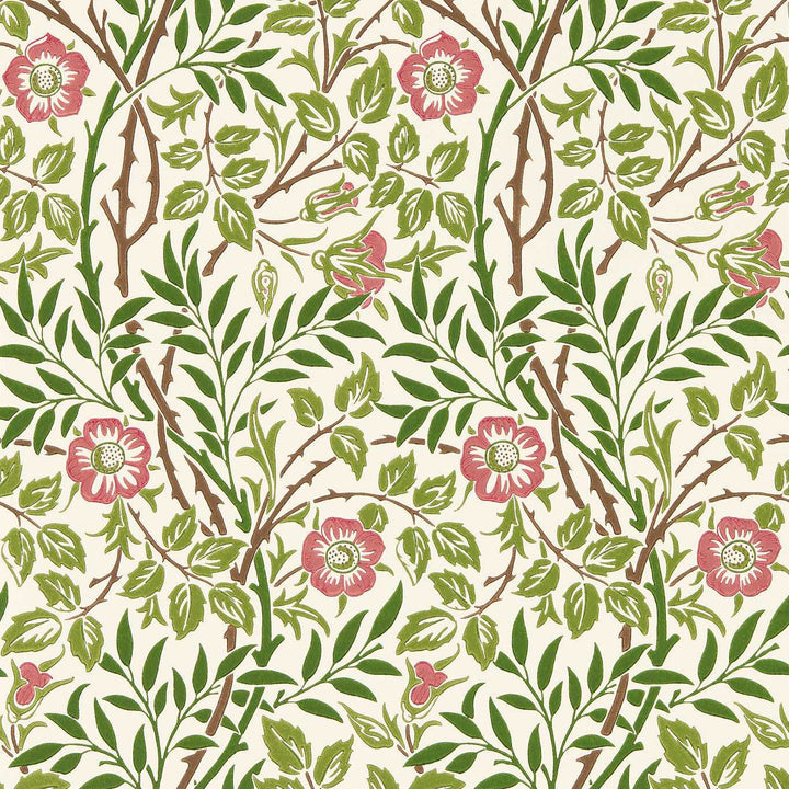 Sweet Briar - Boughs / Rose