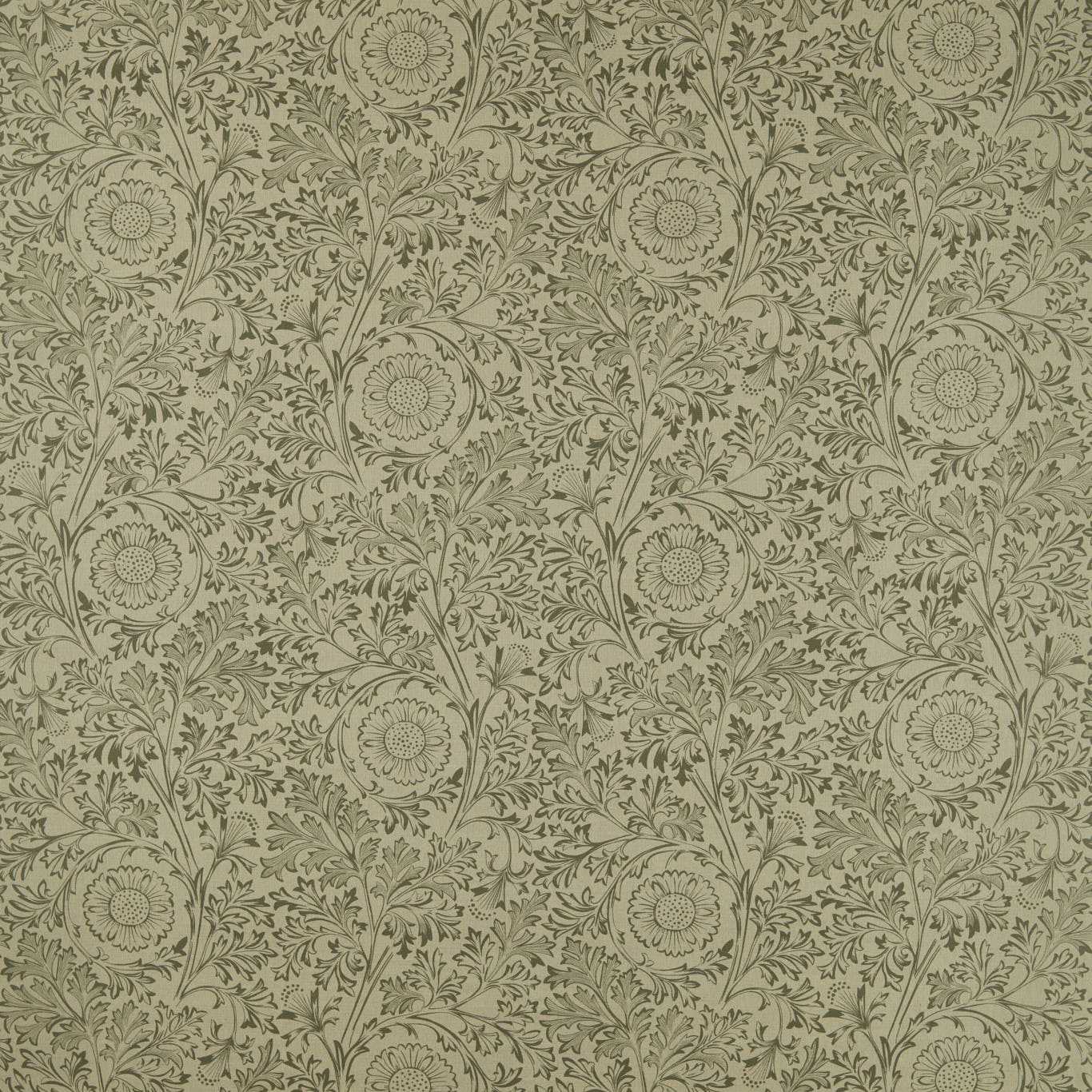 Chamomile - Bayleaf