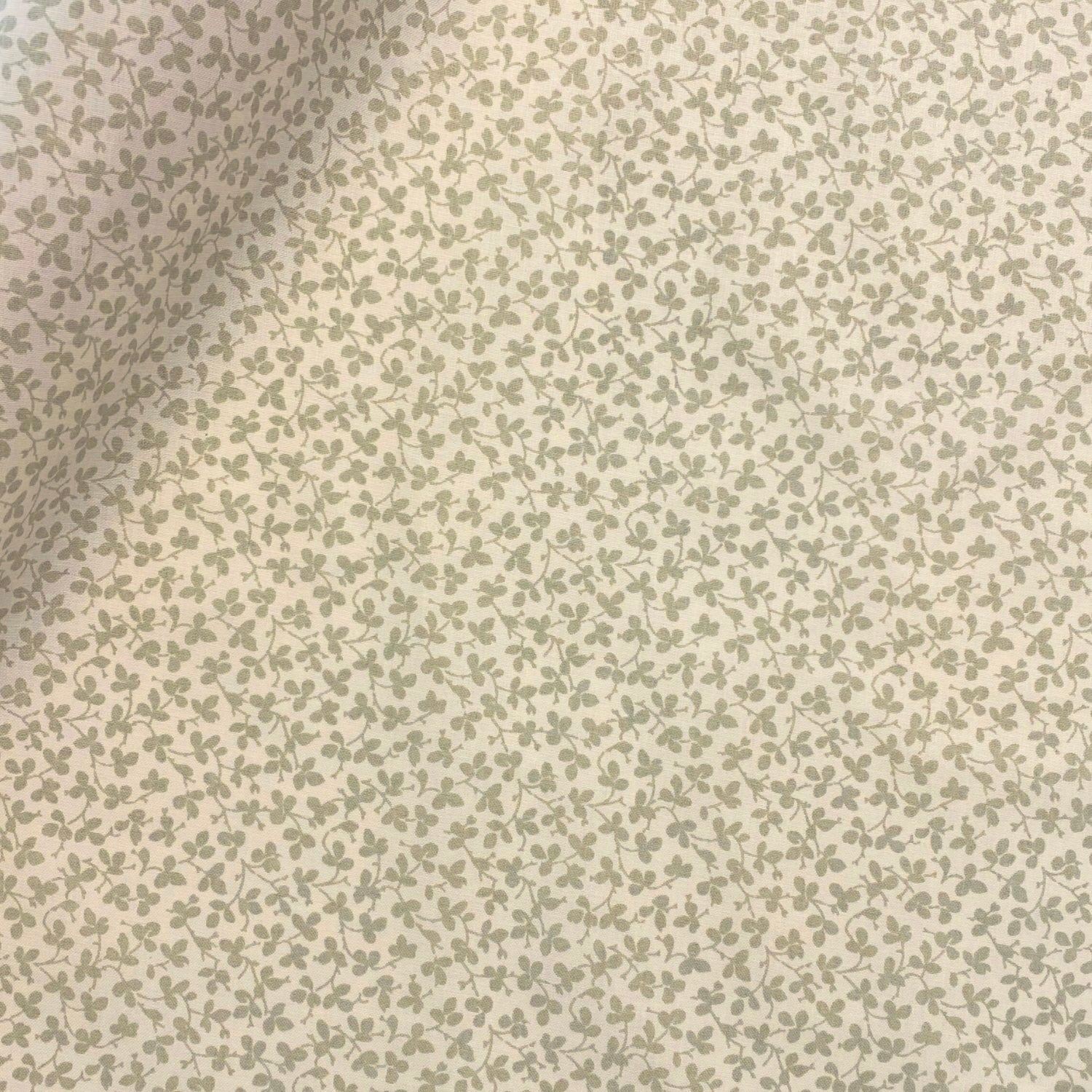 Miss Polly - Celadon