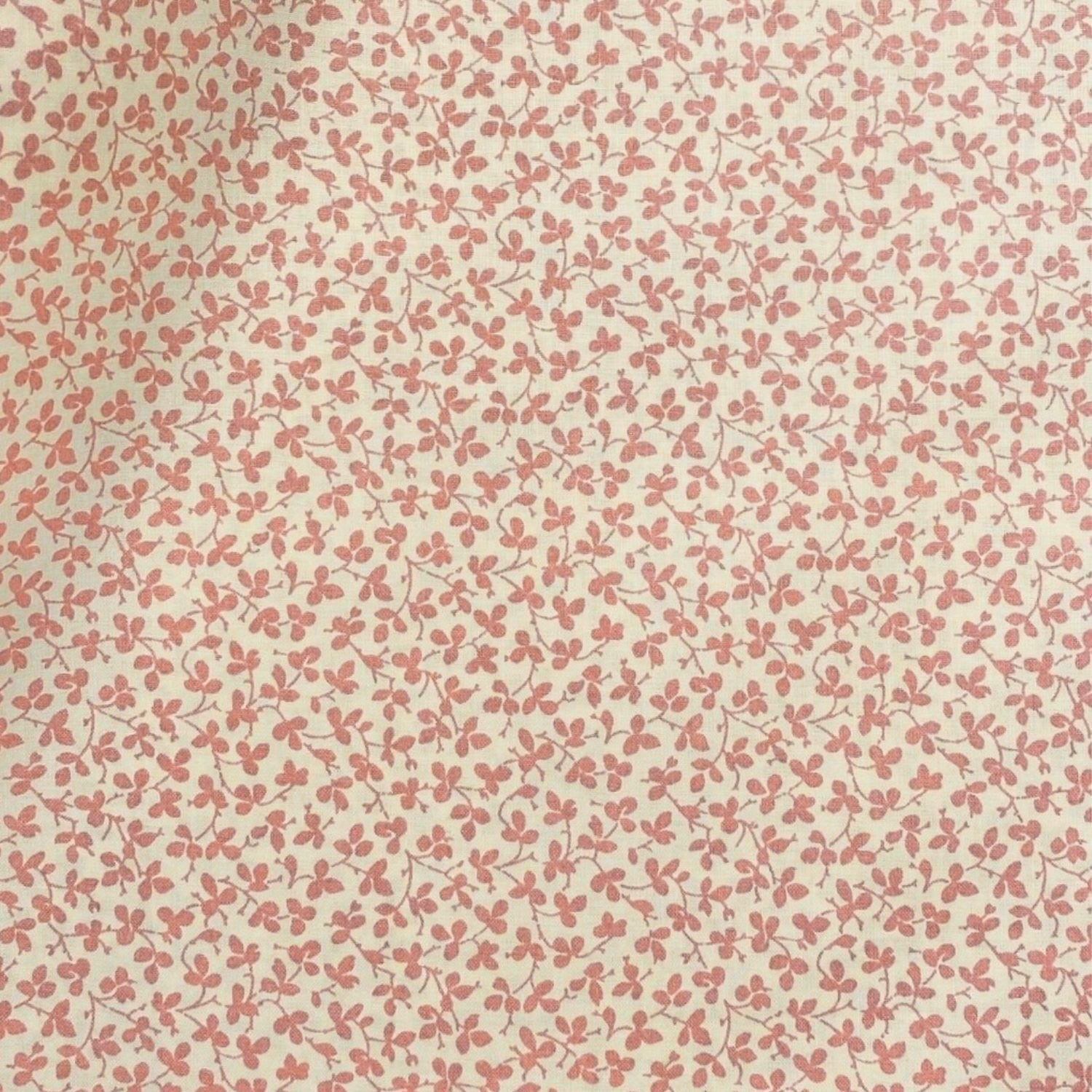 Miss Polly - Dusty Rose