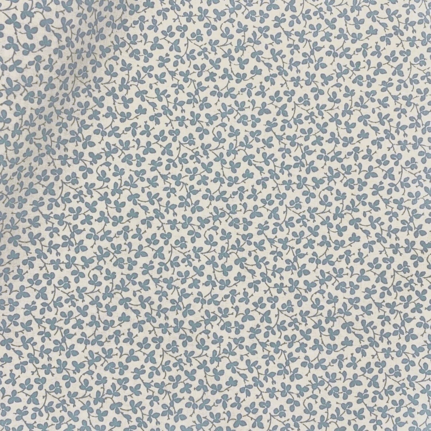 Miss Polly - Forget-Me-Not