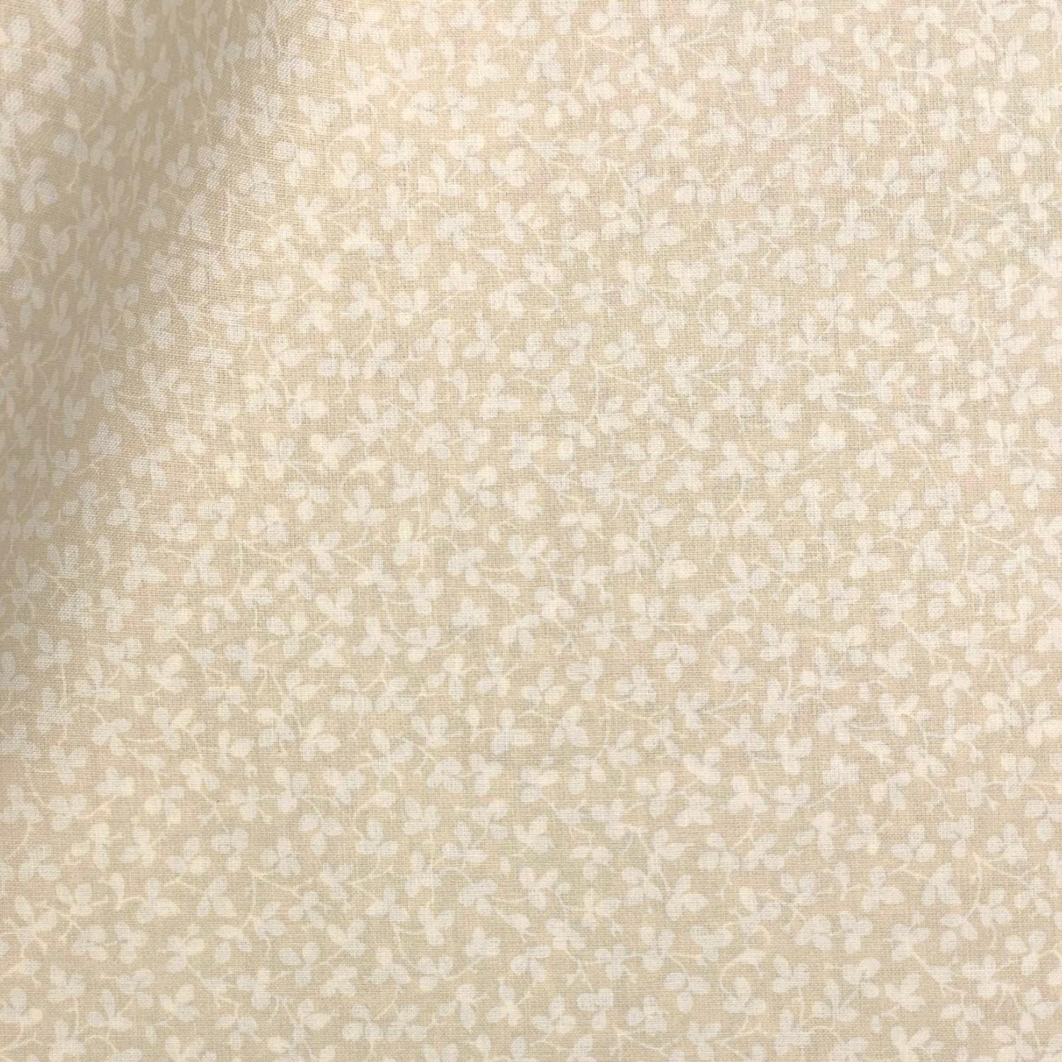 Miss Polly - Limestone