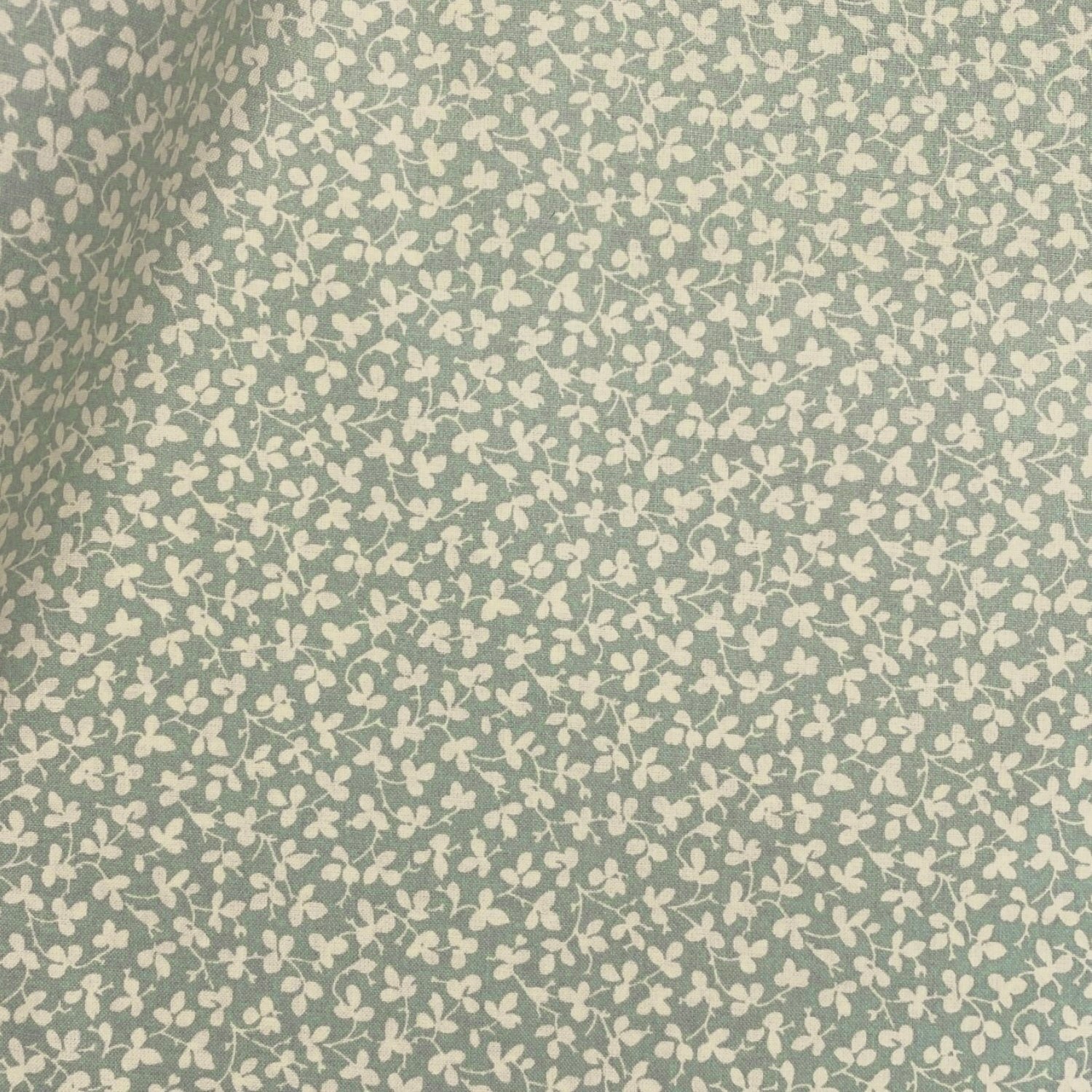 Miss Polly - Mineral