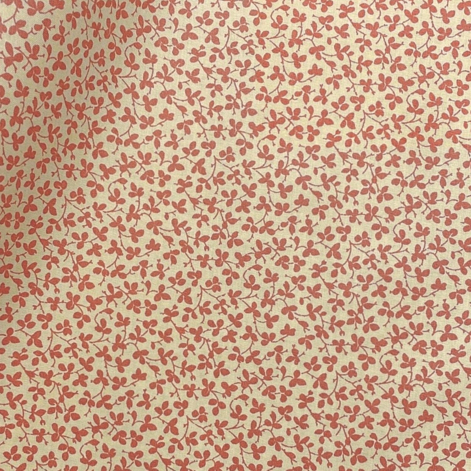 Miss Polly - Persimmon