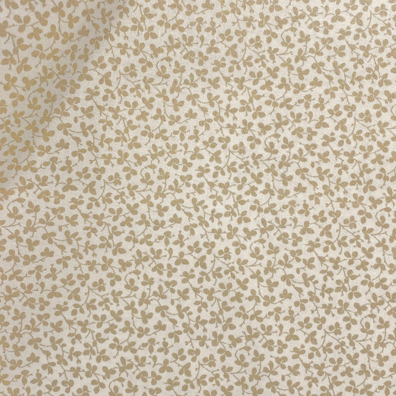 Miss Polly - Portland