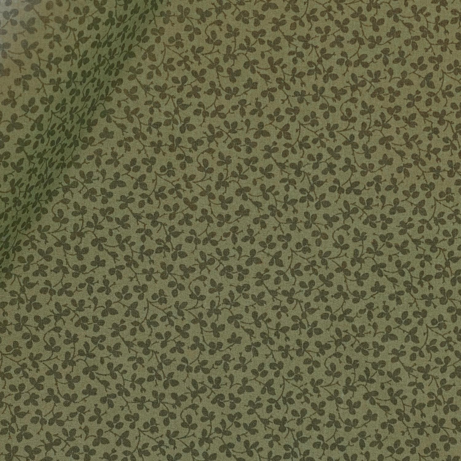 Miss Polly - Sherwood