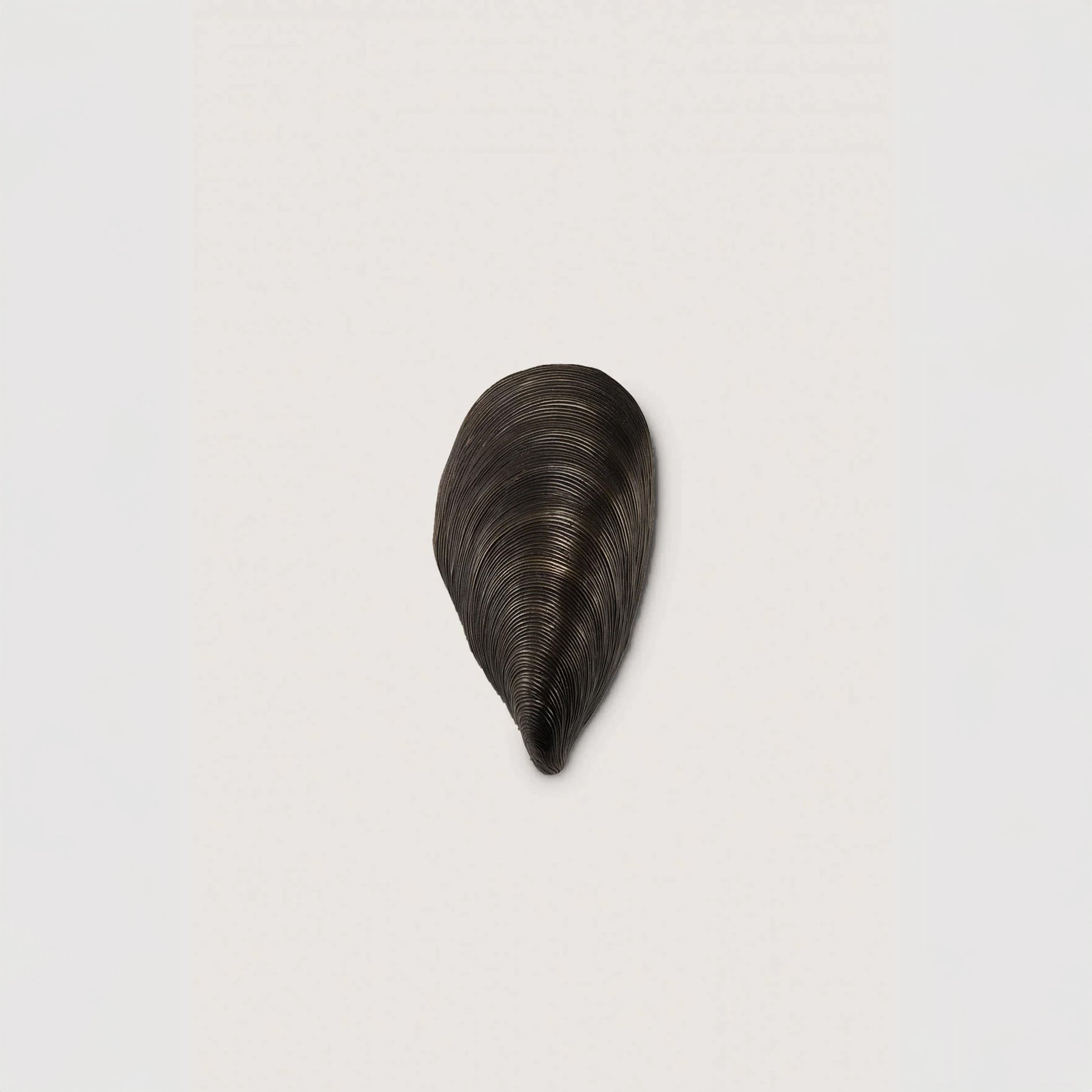 Mussel Shell Bathroom Wall Light - Bronze