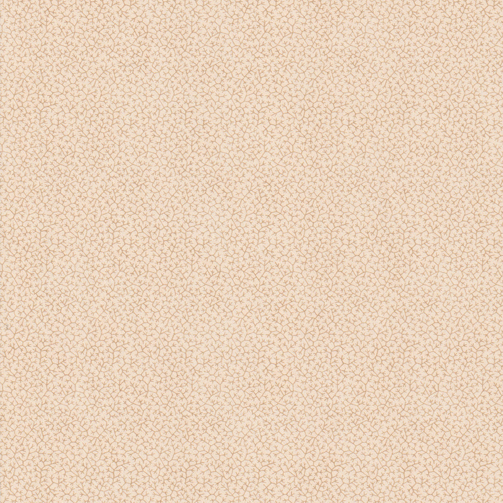Brindille - Beige WP