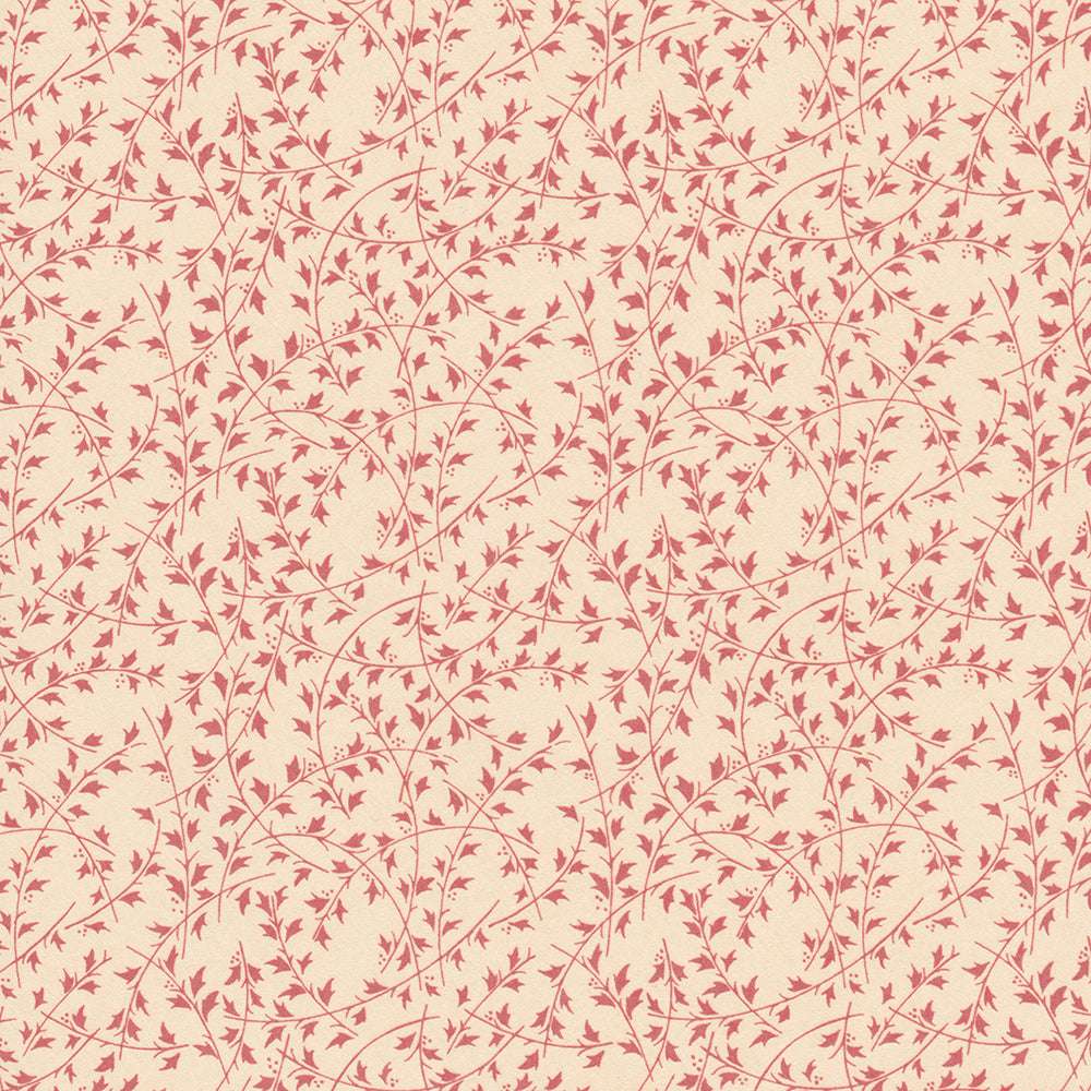 Ilex - Red WP