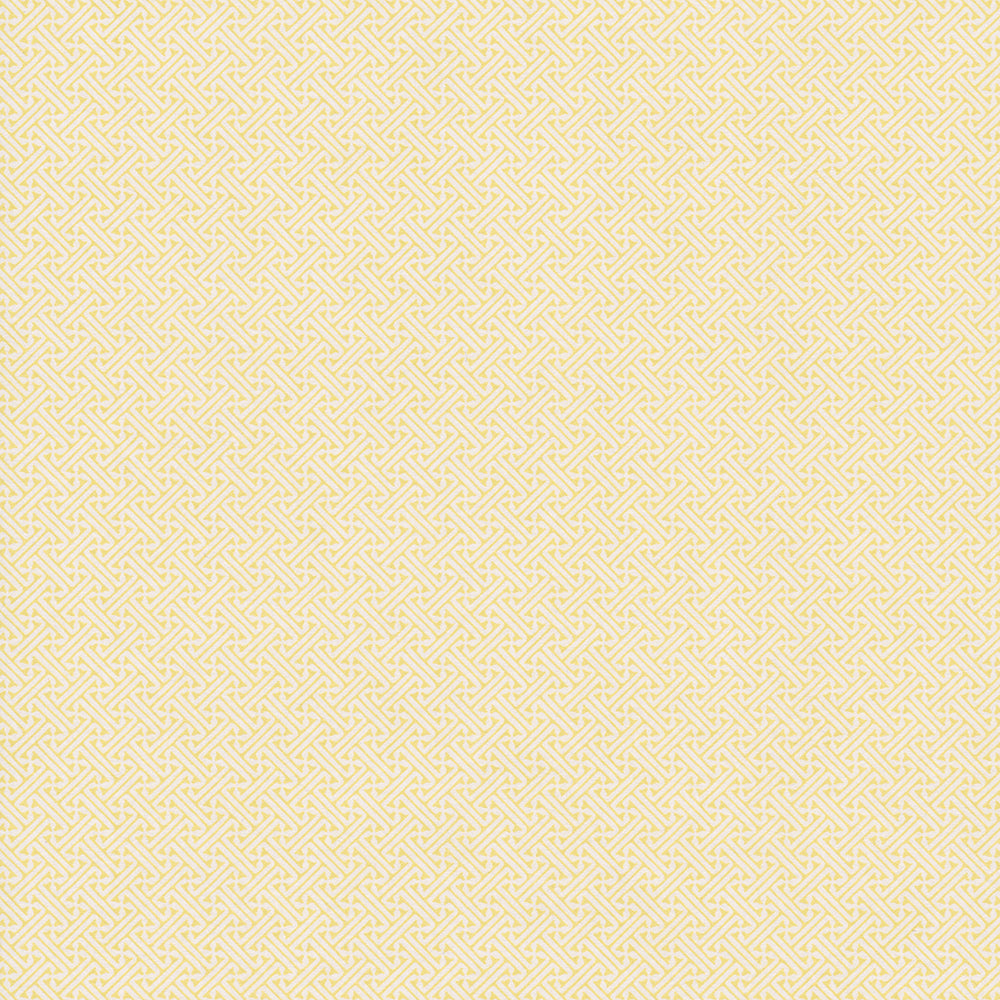 Lattice - Acid WP