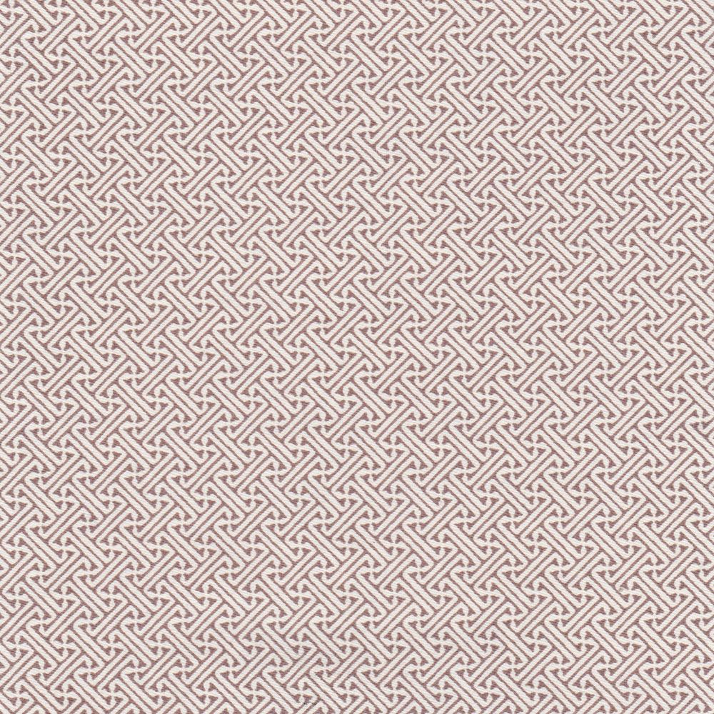 Lattice - Cocoa