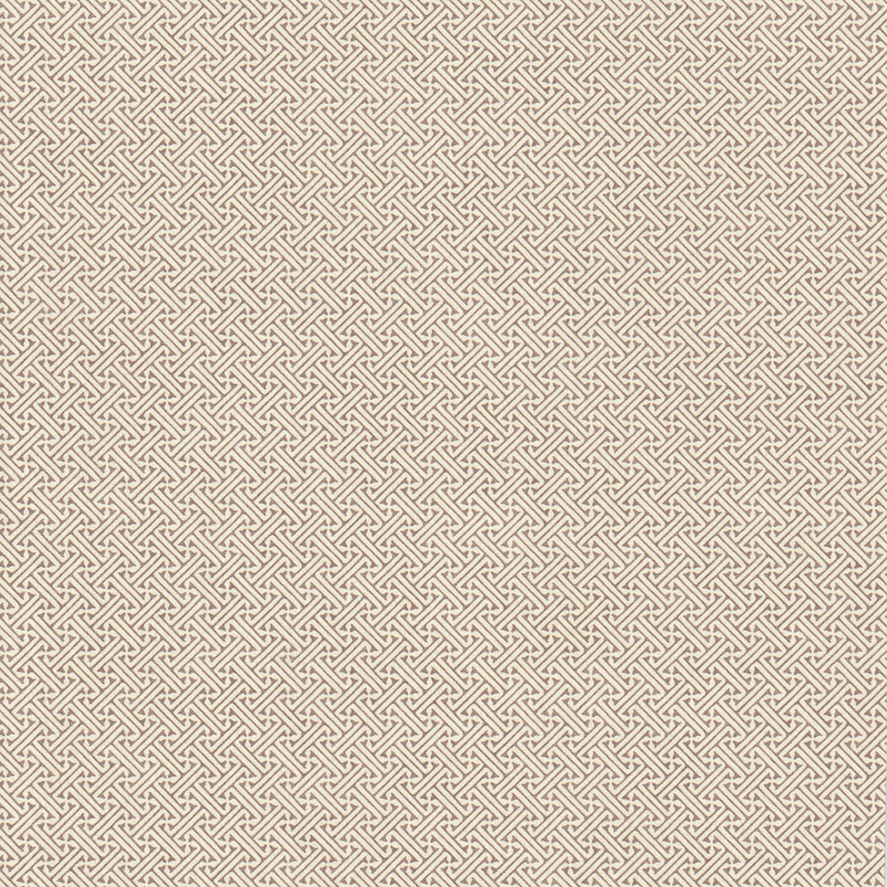 Lattice - Cocoa WP