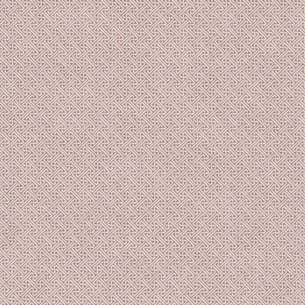 Lattice - Viola WP