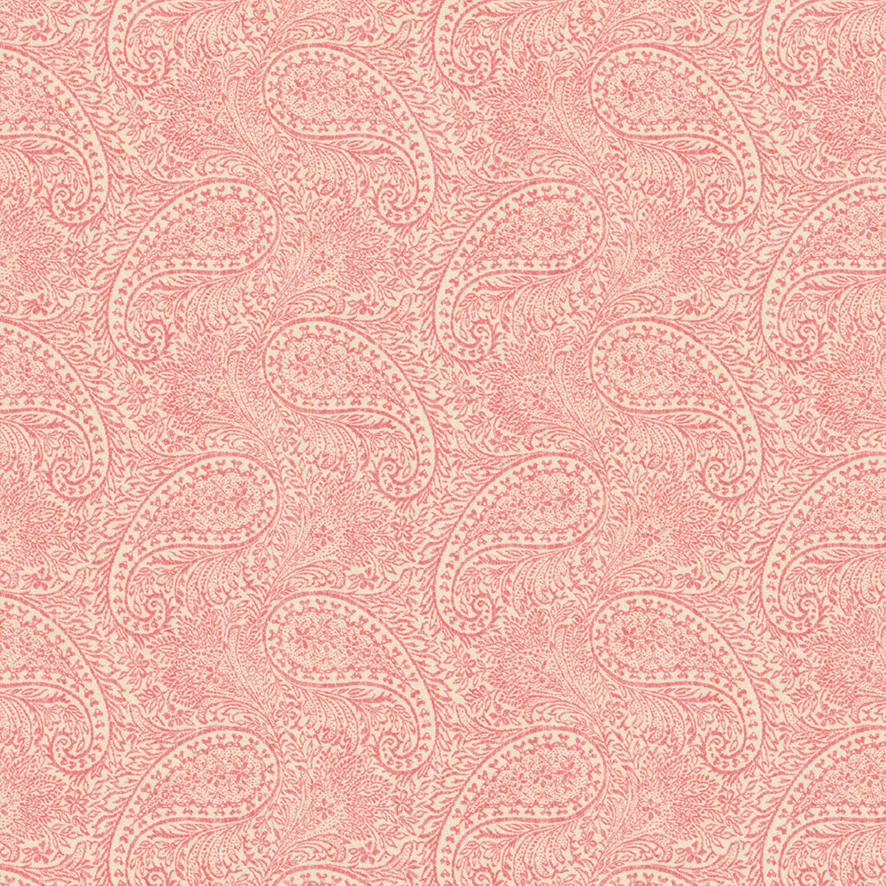 Nadi - Coral WP