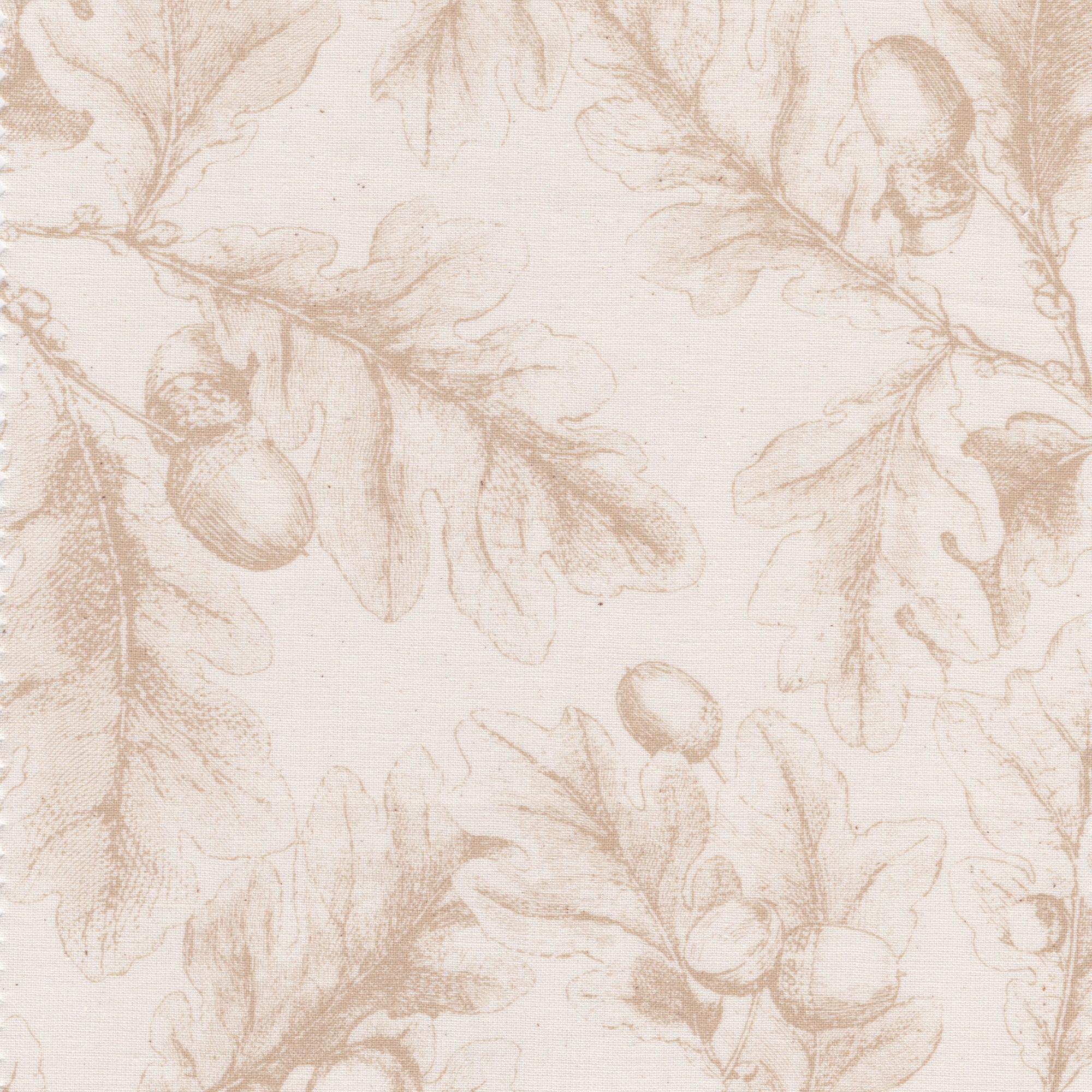 Oak Leaf - Honey