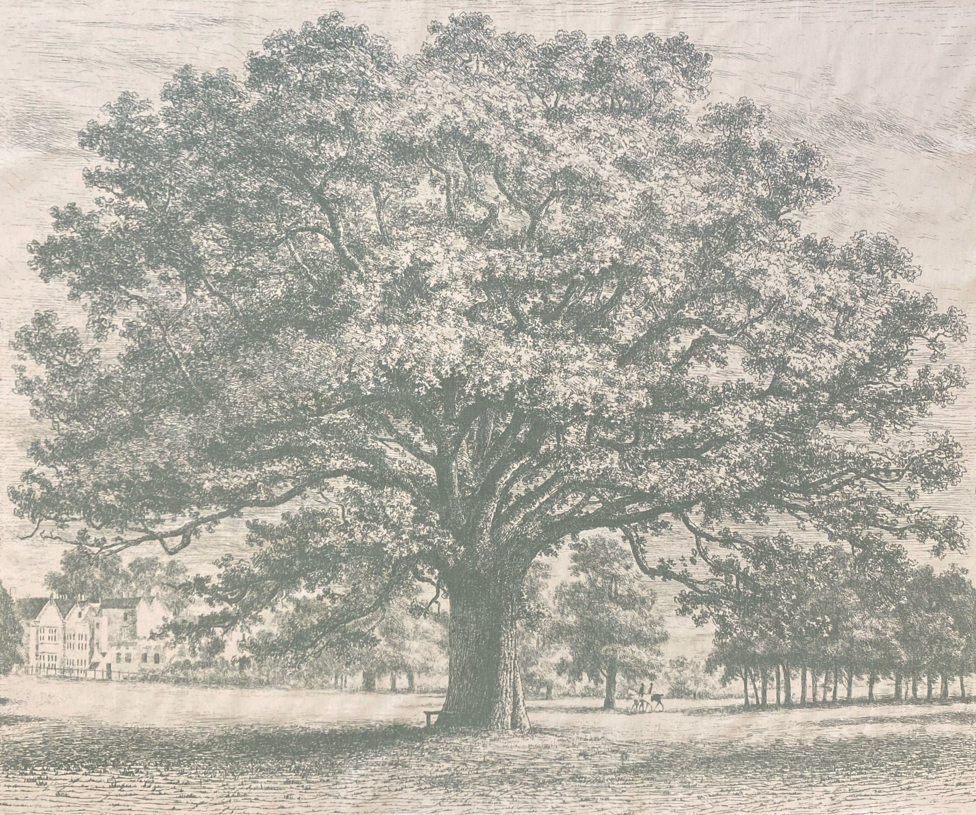 Oak Tree - Green