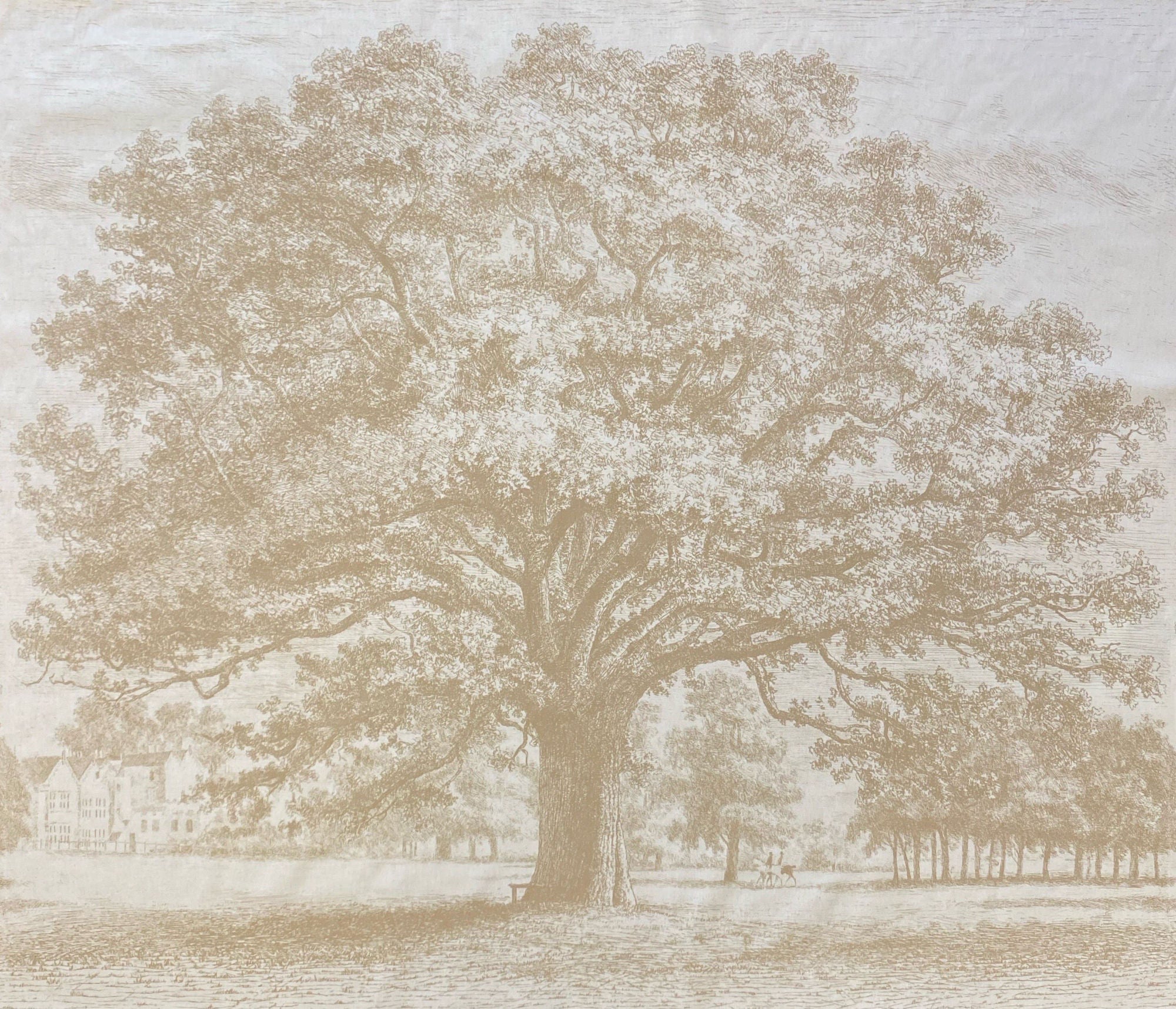 Oak Tree - Honey
