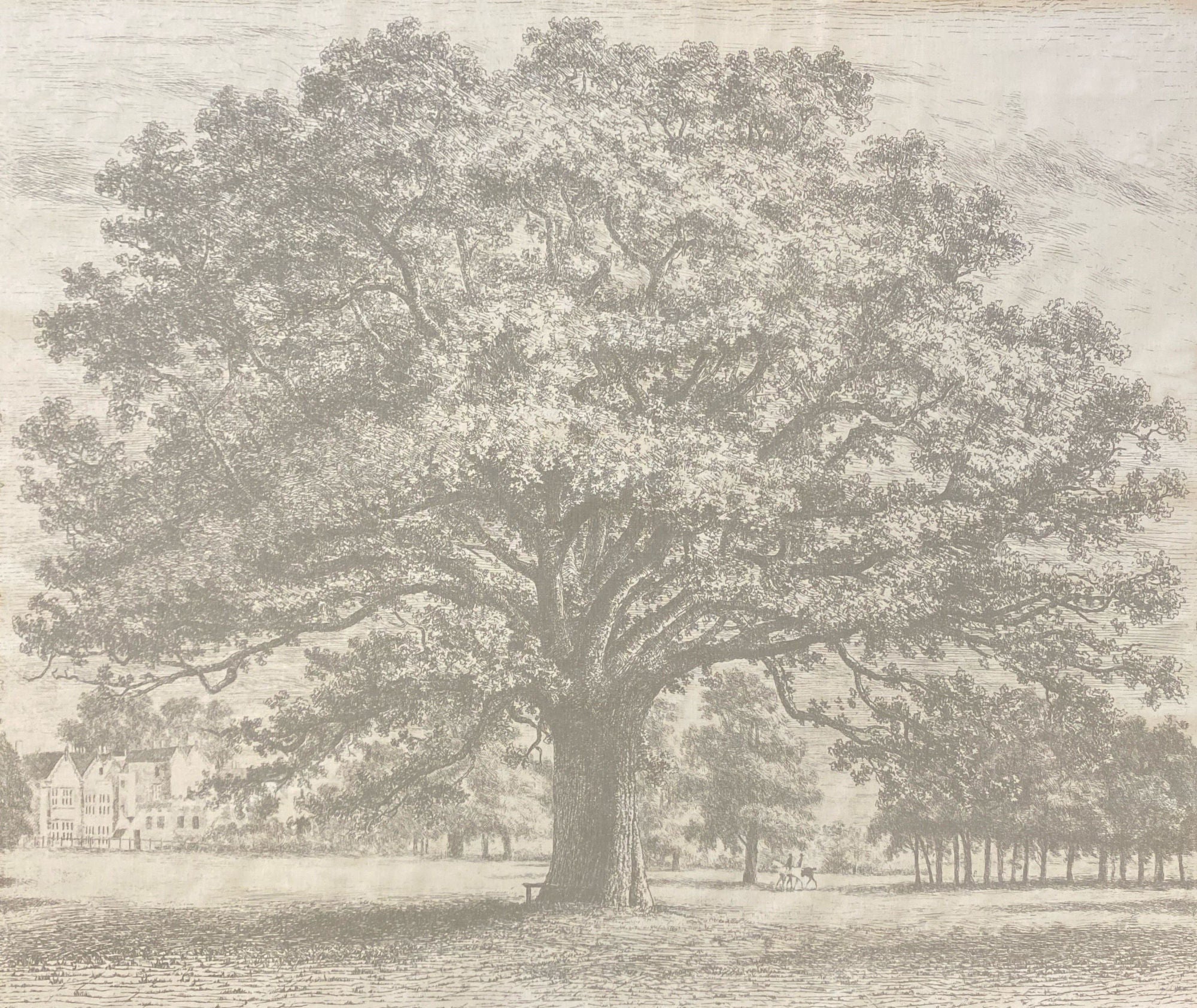 Oak Tree - Stone