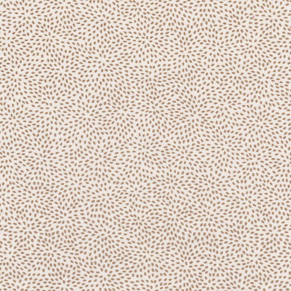 Particles - Caramel