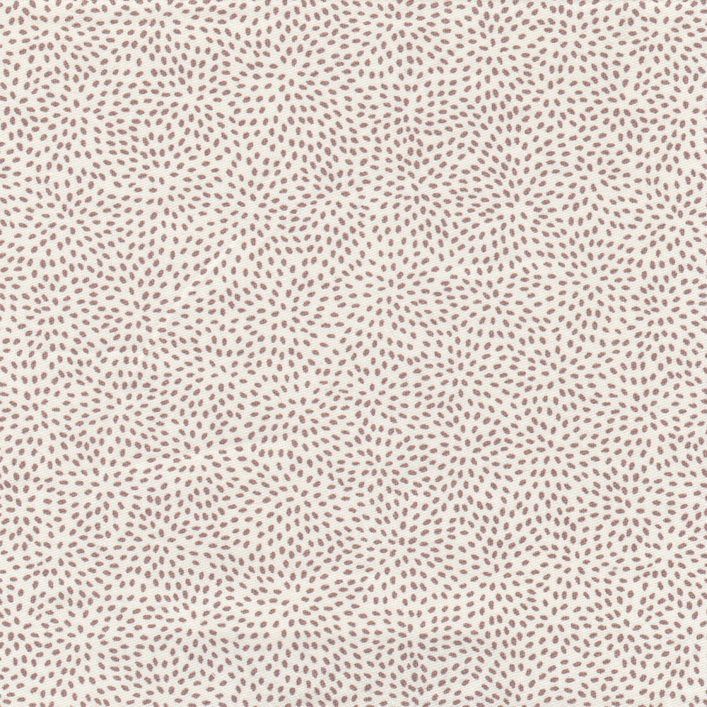 Particles - Cocoa