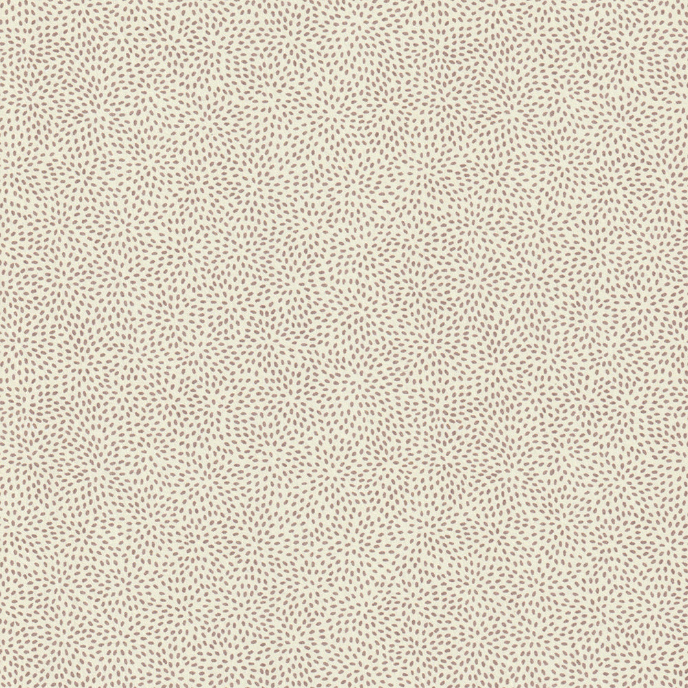 Particles - Cocoa WP