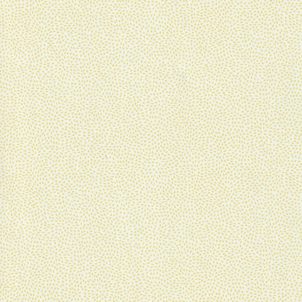 Particles - Willow WP