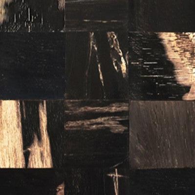 Petrified Wood - Dark