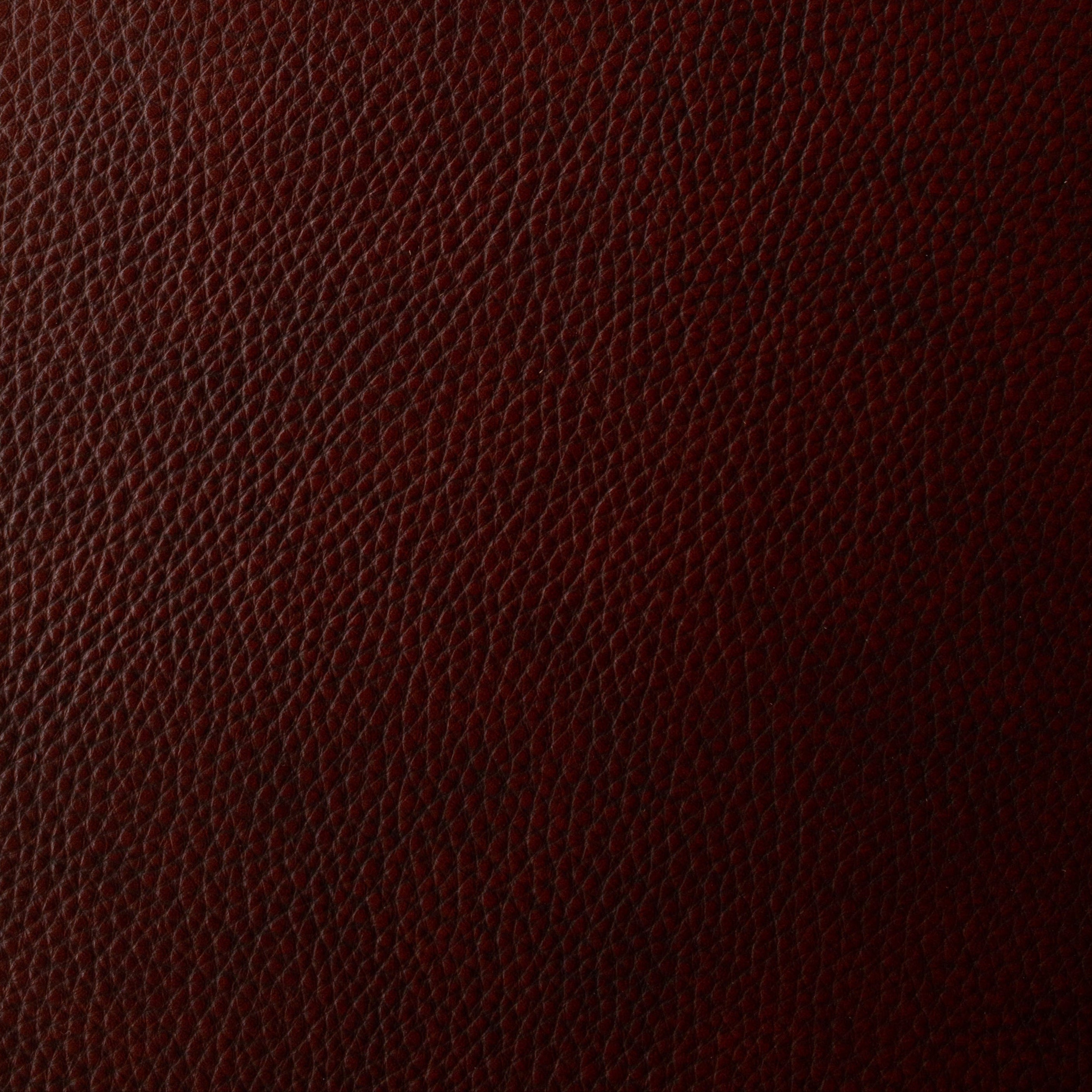 The Hide Life - Port