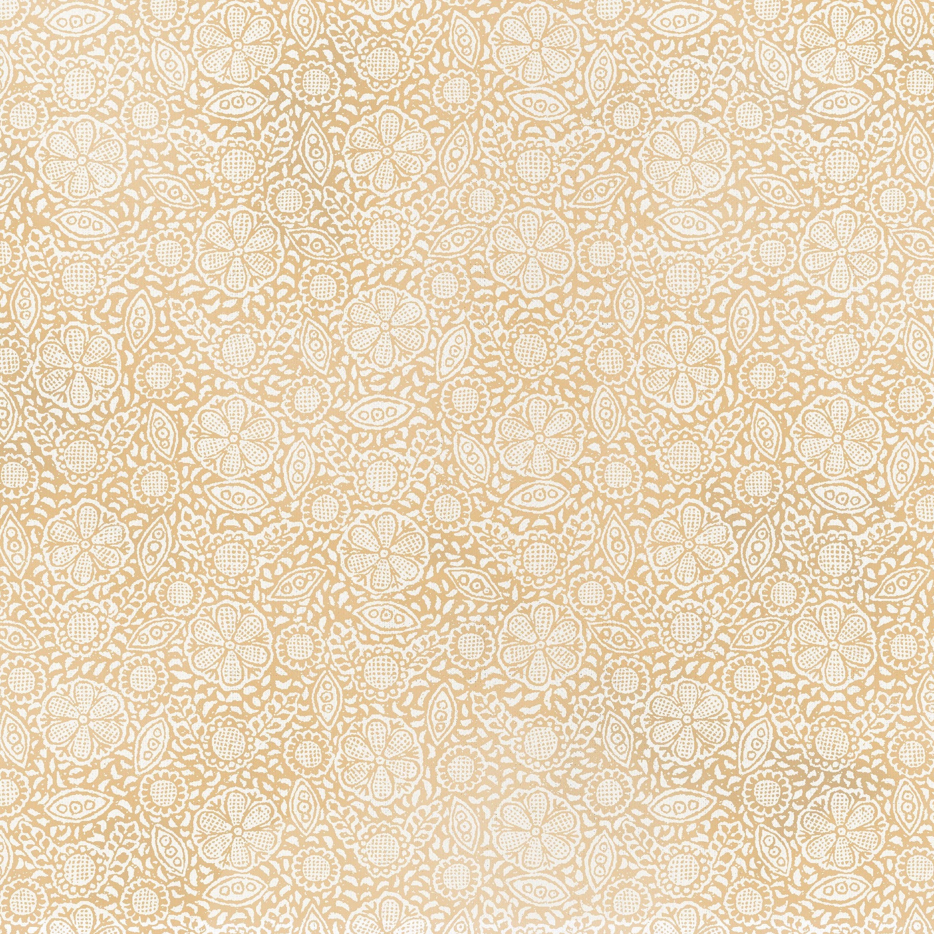 Redoute - Resist / Borders Apricot / Natural