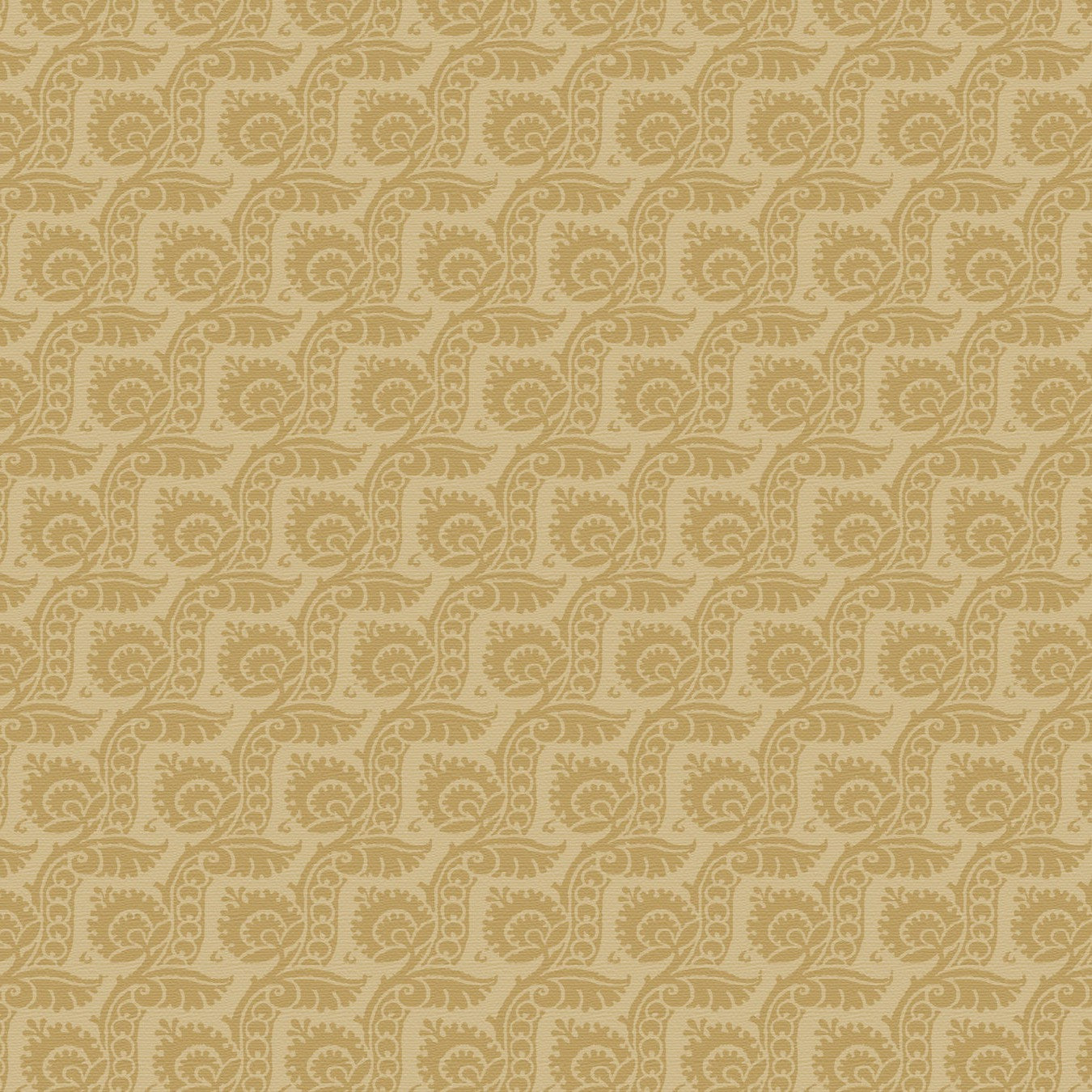 Roselle / Borders Dijon On Saffron