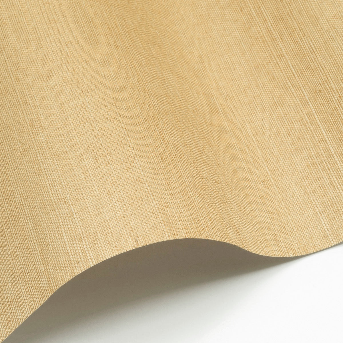 Sisal WP - SID137